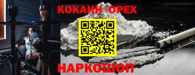 шишки Нарткала