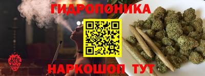 шишки Нарткала