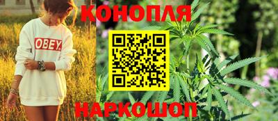 шишки Нарткала