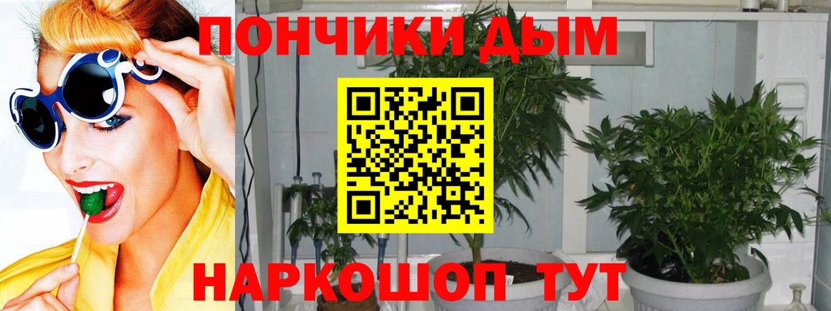 Бошки марихуана план  Вход с VPN  Канабис SATIVA & INDICA  Новокуйбышевск 